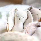 The Bunny Rattle